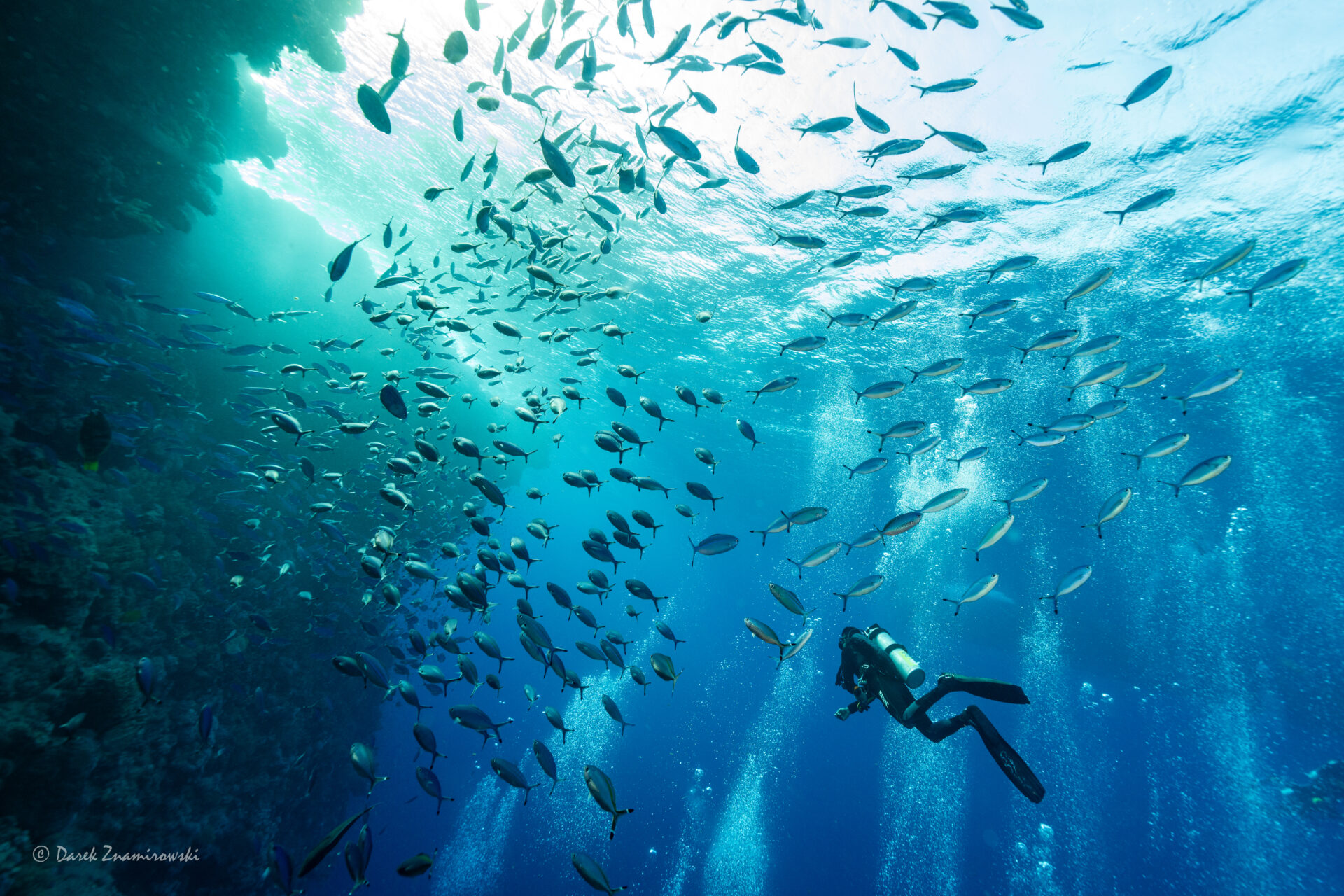 Safari w Egipcie – Wraki i Rafy północy