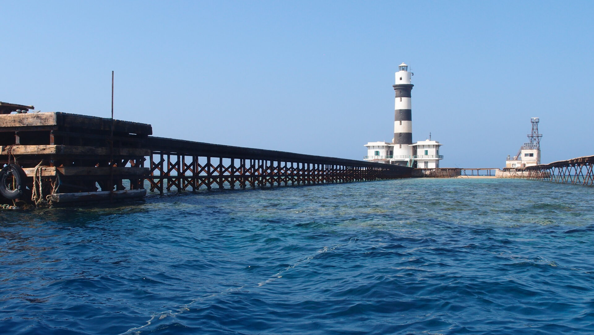 Safari w Egipcie – trasa Daedalus + Fury Shoals