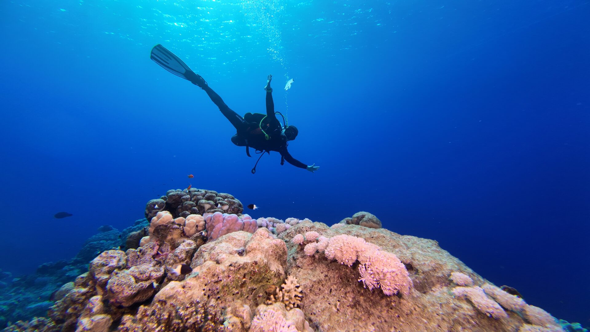 Safari Egipt – trasa północna i południowa, październik 2025